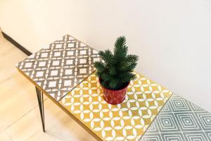 Lucky Domus Ottaviano