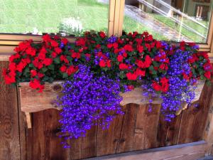 Chalet Tobià Apartments