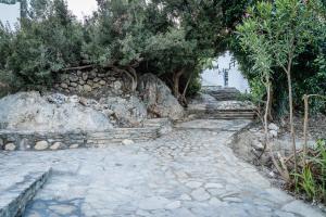 Theaktis Homes