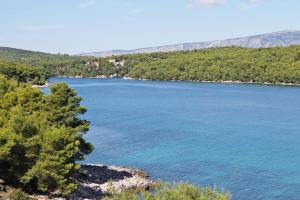 One-Bedroom Apartment with Terrace and Sea View room in Apartments by the sea Jelsa Hvar - 5723