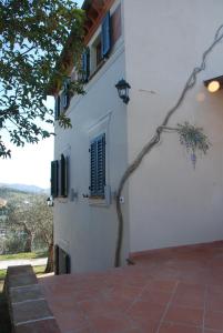 La Libellula- casale panoramico con piscina in Versilia