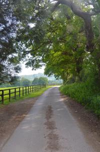The Hideaway-South Downs National Park