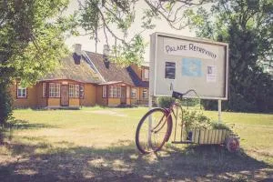 Palade Retrovisiit Meida - Suuresadama