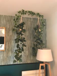 Appartements La station n° 5 : photos des chambres