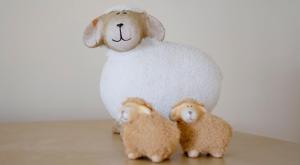 Apartment 2, Pheonix Flats