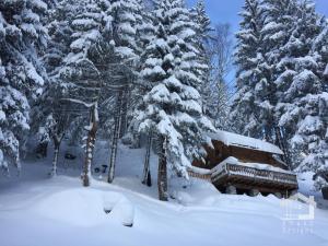 Chalets Le Mazot de la Fis : photos des chambres