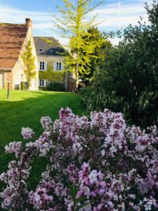 Maisons d'hotes Les Couleurs du Verger : photos des chambres