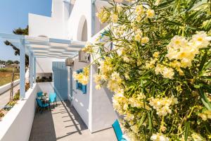 Adelphi Apartments Santorini Greece