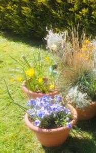 Virginia Court Hotel