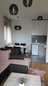 Apartman Nana Svetogorska 19 ,stan 17