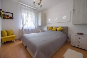 Navigator City Center