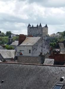 Appartements Appt 2eme etage sur l’ile de Saumur : photos des chambres