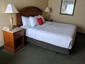 Queen Room - Disability Access room in Red Lion Hotel Kelso