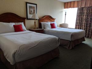 Superior Queen Room with Two Queen Beds room in Red Lion Hotel Kelso
