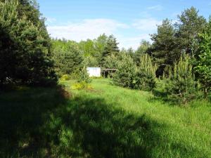 chalupa U Hovorků s bazénem - u pískoven Vlkov