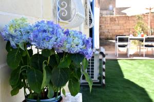 Four Winds Farmhouse