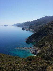 Dafnis Studios Skopelos Greece