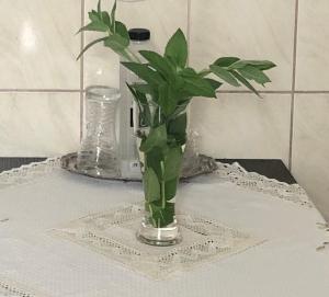 Strada Nerva Traian 11