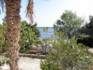 Apartments Marija - 30m from the beach