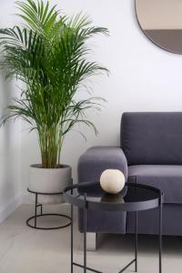 Apartments HUGO 2 - 4hvězdičkové hotely ve městě Split