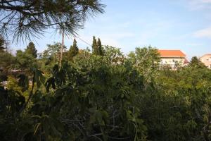 One-Bedroom Apartment with Terrace room in Apartments with a parking space Novalja Pag - 6508
