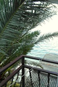 Apartments by the sea Brist, Makarska - 15465