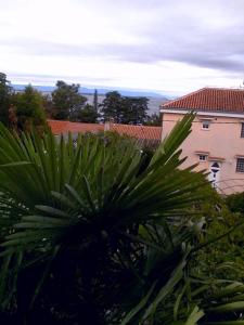 One-Bedroom Apartment with Terrace and Sea View room in Apartments and rooms by the sea Selce Crikvenica - 16566