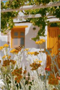 Kalderimi Traditional Houses Astypalaia Greece
