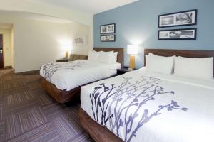 Queen Suite with Two Queen Beds and Sofa Bed and Kitchenette - Non Smoking room in Sleep Inn and Suites Chesapeake - Portsmouth