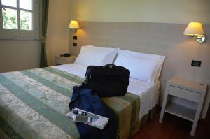Double or Twin Room with Balcony room in Hotel Borgo Verde