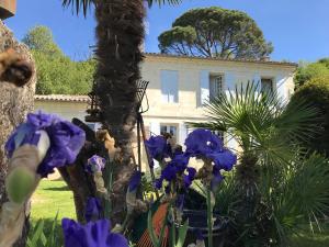 Maisons de vacances Le Pain de Lune Gite et Chambre d'hotes avec Piscine : photos des chambres