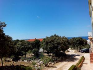 Apartments with a parking space Mandre, Pag - 12409