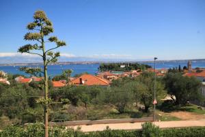 Studio with Terrace and Sea View room in Apartments with a parking space Preko Ugljan - 8224