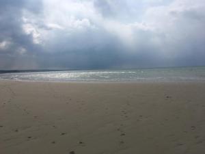 FACE A LA MER , L ARTISTE