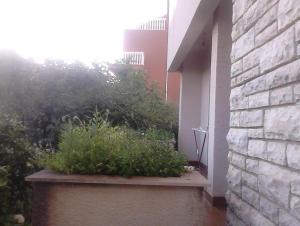 Two-Bedroom Apartment with Balcony room in Apartments with a parking space Zadar - Diklo Zadar - 13327