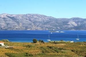 Two-Bedroom Apartment with Terrace and Sea View room in Apartments with a parking space Lumbarda Korcula - 9271
