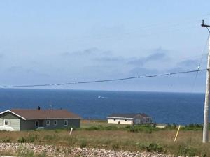 A Hotel Com Cabot Trail Vacations Rv Cottages Holiday Home