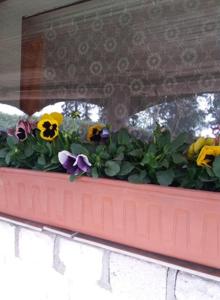 Lejas dzīvoklis Beči