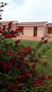 Hotel Pinocchio img26