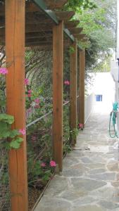 Tatsis Apartments Kalymnos Greece