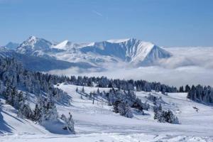 Appartements Charmant studio cabine COCOON a 100 m des pistes : photos des chambres