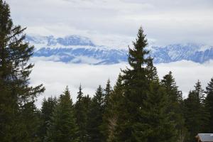 Appartements Charmant studio cabine COCOON a 100 m des pistes : photos des chambres