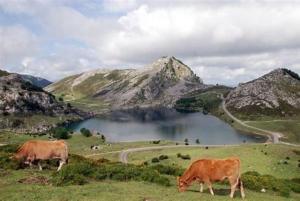 Apartamento El Fondon 2