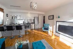 Deluxe Apartment Tara - 布拉加伊