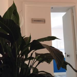 Apartament Blue Bay Appartaments Agropoli Włochy