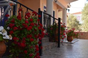 Anaxos Gardens Lesvos Greece