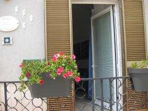 Il mare in un Boccaccio