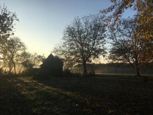 Maisons de vacances Sous le Tilleul : photos des chambres