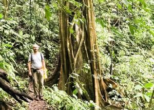 El Manantial de Corcovado