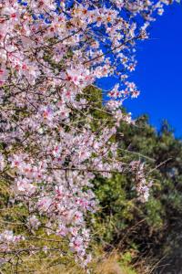 Agriturismo Sa Tanca Noa img12